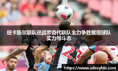 bsports必一体育