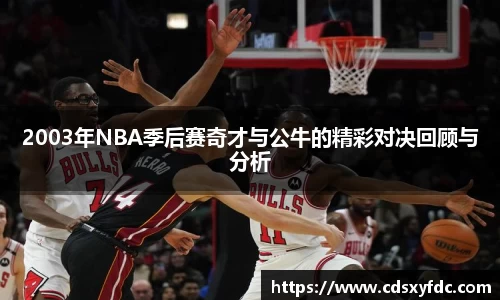 2003年NBA季后赛奇才与公牛的精彩对决回顾与分析