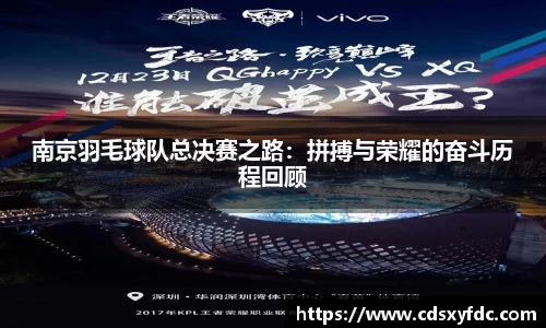 南京羽毛球队总决赛之路：拼搏与荣耀的奋斗历程回顾