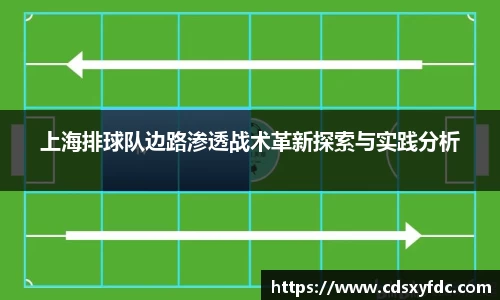上海排球队边路渗透战术革新探索与实践分析