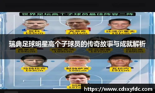 瑞典足球明星高个子球员的传奇故事与成就解析