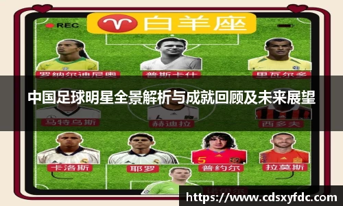 中国足球明星全景解析与成就回顾及未来展望