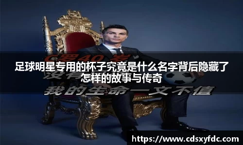 足球明星专用的杯子究竟是什么名字背后隐藏了怎样的故事与传奇